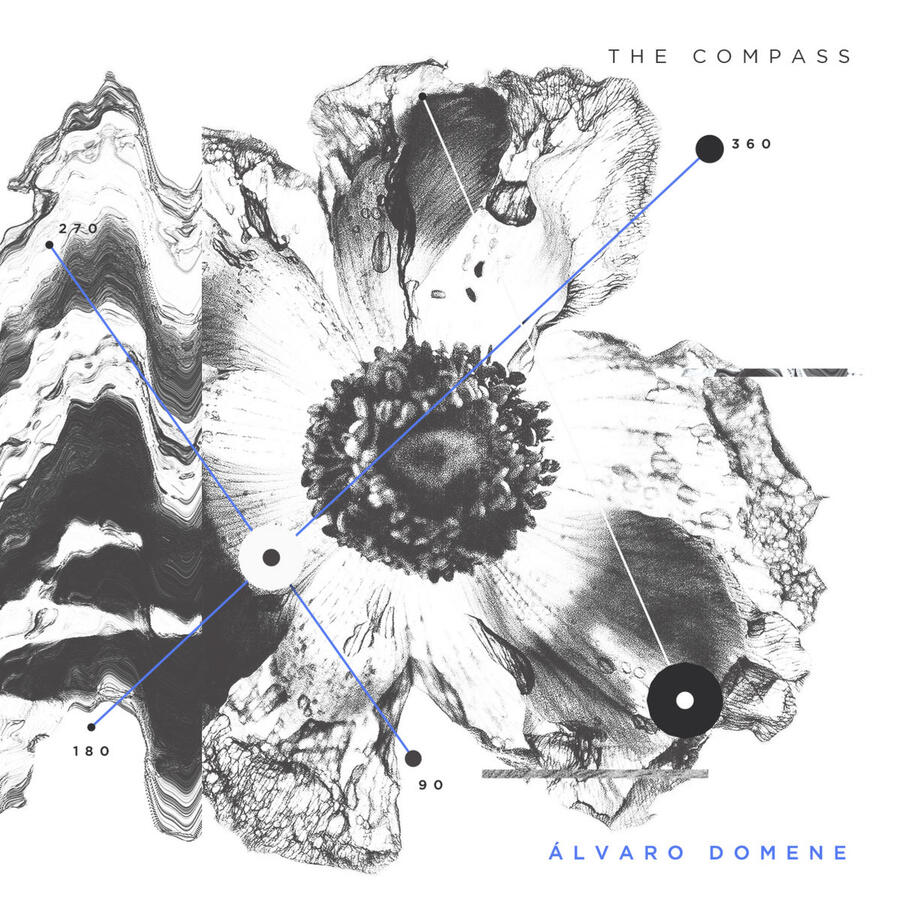 The Compass